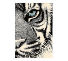 Ковер детский (160x220 см) Funky Top