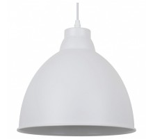 Подвесной светильник Arte Lamp Braccio A2055SP-1WH