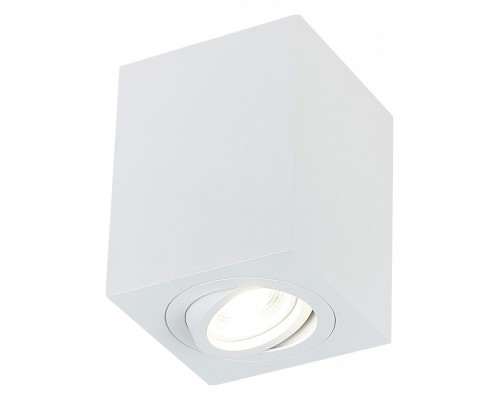 Накладной светильник SIMPLE STORY 2038 2038-1CLW