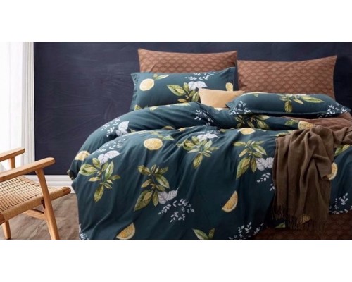 Постельное белье евростандарт Вальтери MP