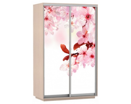 Шкаф-купе Экспресс Фото дуо