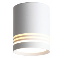 Накладной светильник ST-Luce Cerione 