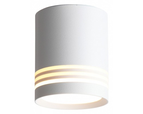 Накладной светильник ST-Luce Cerione