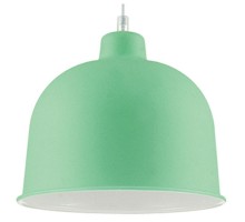 Подвесной светильник Lumion Rory 3657/1