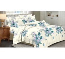 Постельное белье полутораспальное Art Color 089-AC