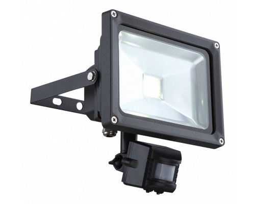 Настенный прожектор Globo Projecteur 34115S