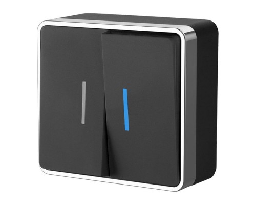 Выключатель двухклавишный с подсветкой Werkel  WL15-03-03 (черный)