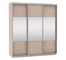 Шкаф-купе Экспресс Комби Трио 2100x600x2200