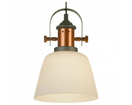 Подвесной светильник Lussole Binghamton LSP-9846