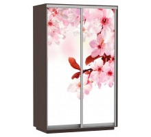 Шкаф-купе Экспресс Фото дуо