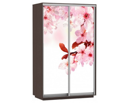 Шкаф-купе Экспресс Фото дуо