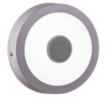 Накладной светильник LED4U 317 317 Bluetooth music 18W D