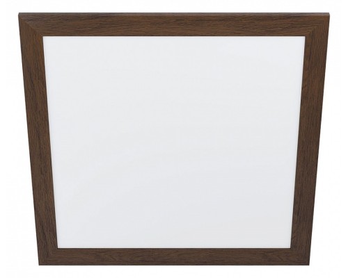 Накладной светильник Eglo ПРОМО Piglionasso 99475