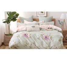 Постельное белье евростандарт CL-287