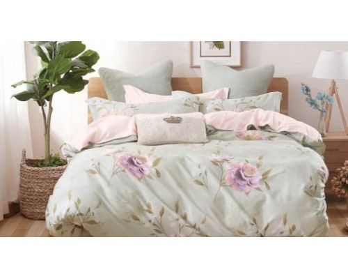 Постельное белье евростандарт CL-287