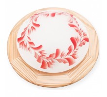 Накладной светильник TopLight Arialda TL9501Y-01PN