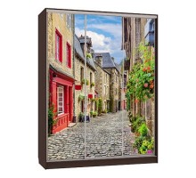 Шкаф-купе Бассо 7-600 Европа