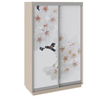 Шкаф-купе Румер