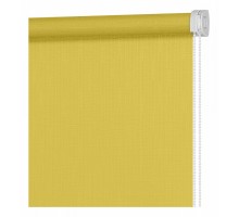 Штора рулонная (50x160 см) Апилера