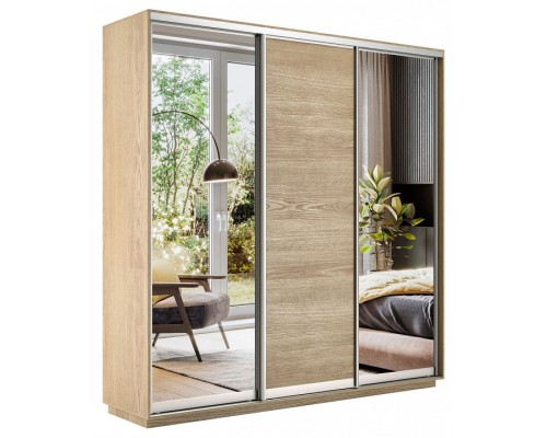 Шкаф-купе Экспресс Медиум