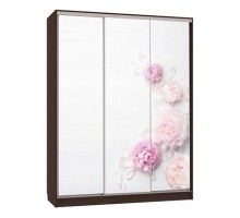 Шкаф-купе Бассо 7-600 17