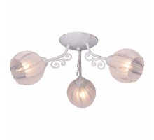 Потолочная люстра TopLight Megan TL3800X-03WG