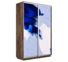 Шкаф-купе Экспресс Фото дуо 1010 1200x600x2200