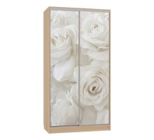 Шкаф-купе Рио 7-600 розы