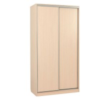 Шкаф-купе Рио 5-600