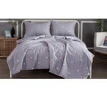 Постельное белье евростандарт Дарси