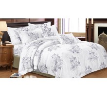 Постельное белье евростандарт Art Color Виолетта