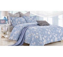 Постельное белье полутораспальное C-194