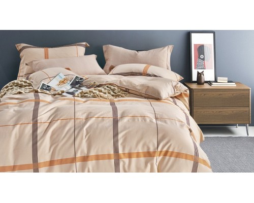 Постельное белье евростандарт RS-257