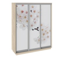 Шкаф-купе Румер СШК 1.180.60-35