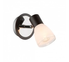 Спот Globo Virunga 541012-1