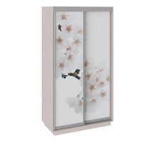 Шкаф-купе Румер СШК 1.120.60-25