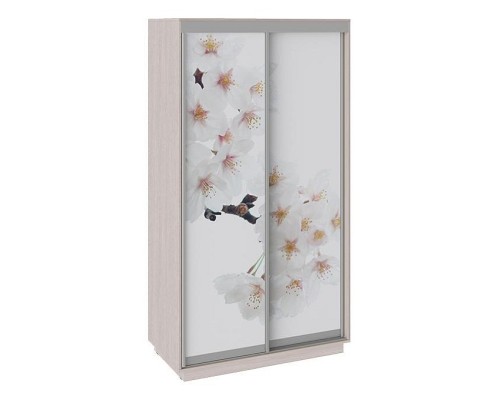 Шкаф-купе Румер СШК 1.120.60-25