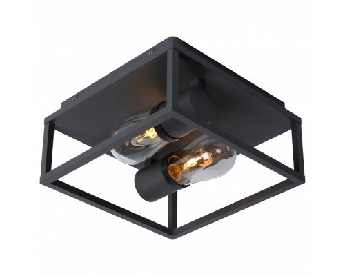 Накладной светильник Lucide Carlyn 27100/02/30