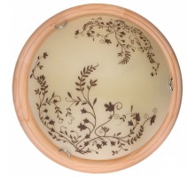 Накладной светильник TopLight Irene TL9630Y-00PN