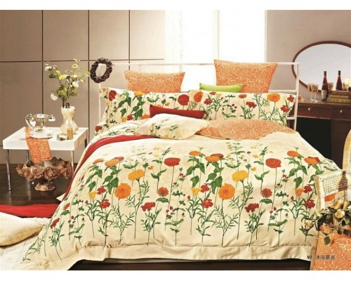 Постельное белье евростандарт C-162