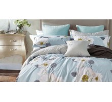 Постельное белье евростандарт RS-228