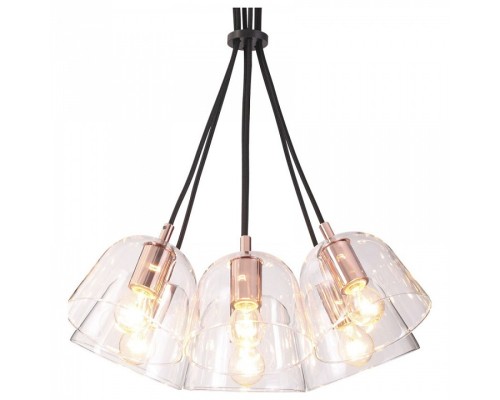 Подвесной светильник Lumion Joseph 4455/6