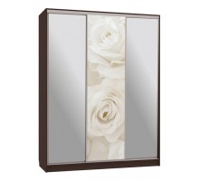 Шкаф-купе Бассо 9-600 розы