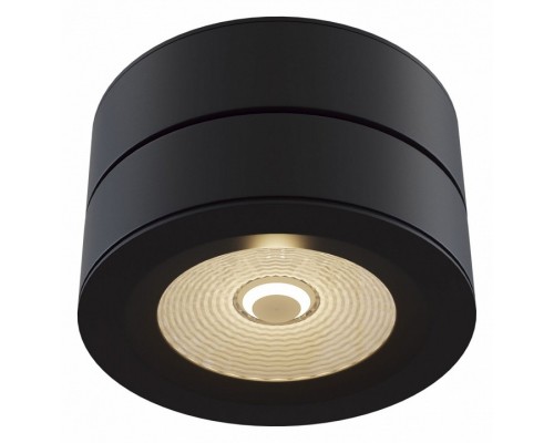 Накладной светильник Maytoni Treviso C023CL-L20B