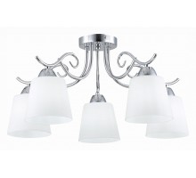 Потолочная люстра EVOLUCE Liada SLE103902-05