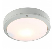 Накладной светильник Arte Lamp City A8154PF-2GY