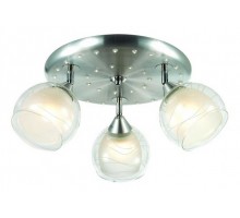 Спот Omnilux Saragossa OML-28307-03