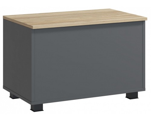 Сундук СкайЛайт СЛ-60