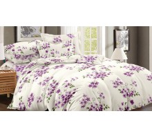 Постельное белье семейное Art Color 056-AC