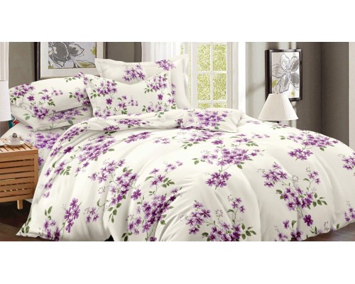 Постельное белье семейное Art Color 056-AC